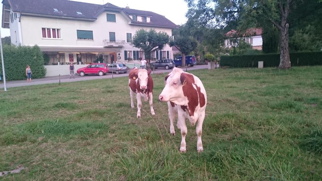 Hotel De La Gare, Vendlincourt Kültér fotó